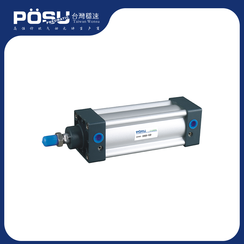 SI series standard cylinder